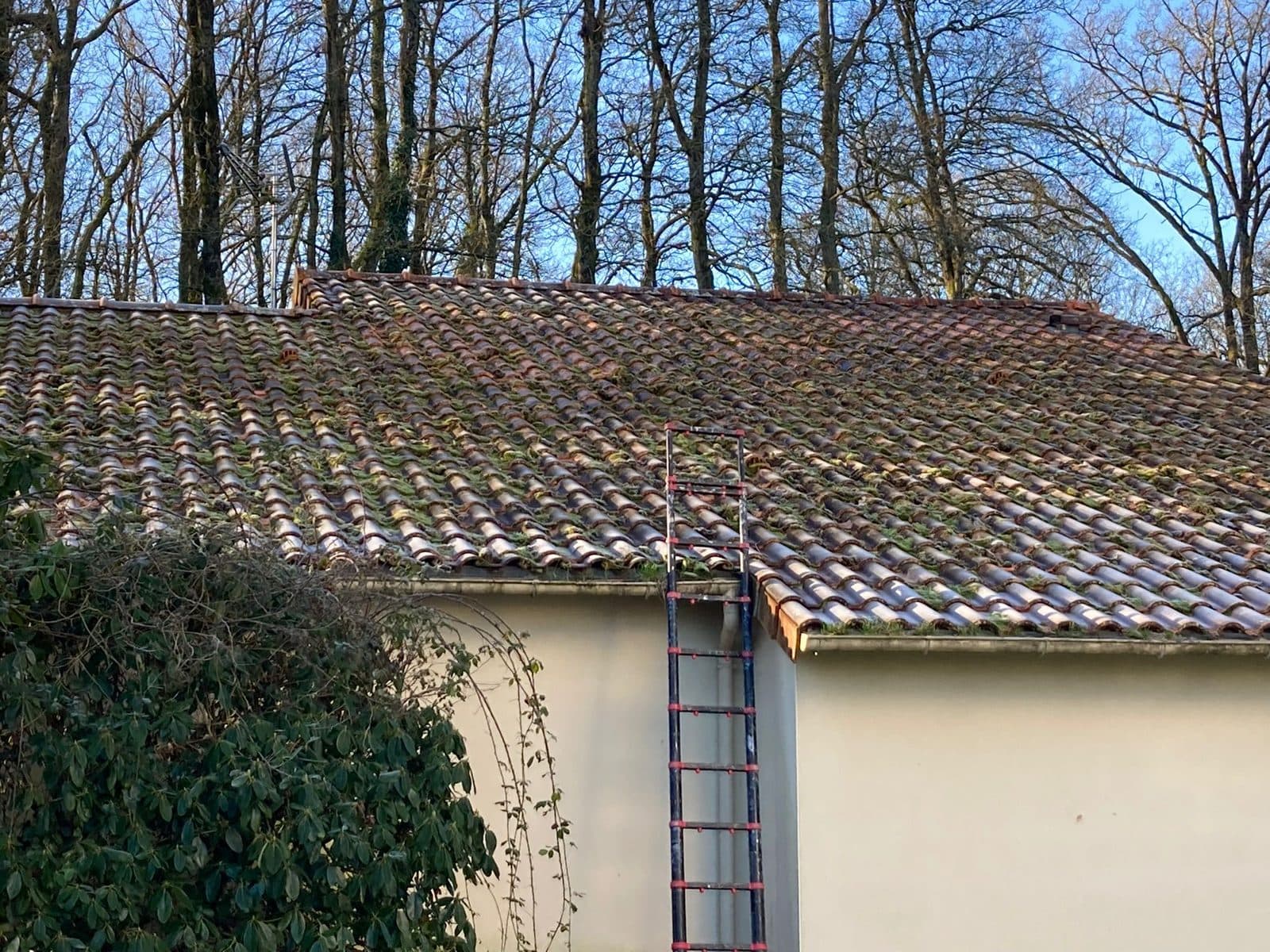 Démoussage complet de toiture — avant intervention